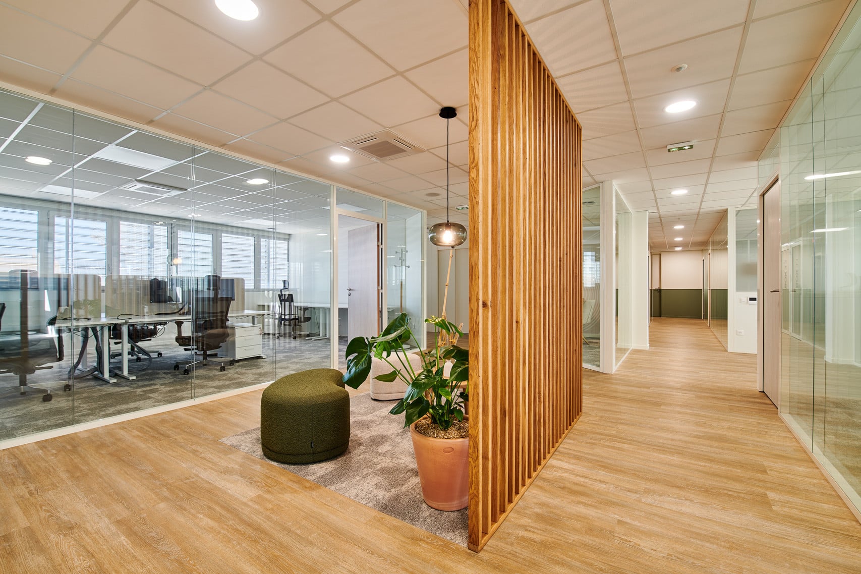 Détail Claustra avec plante