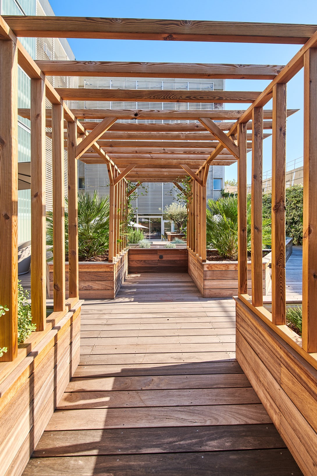 Pergola